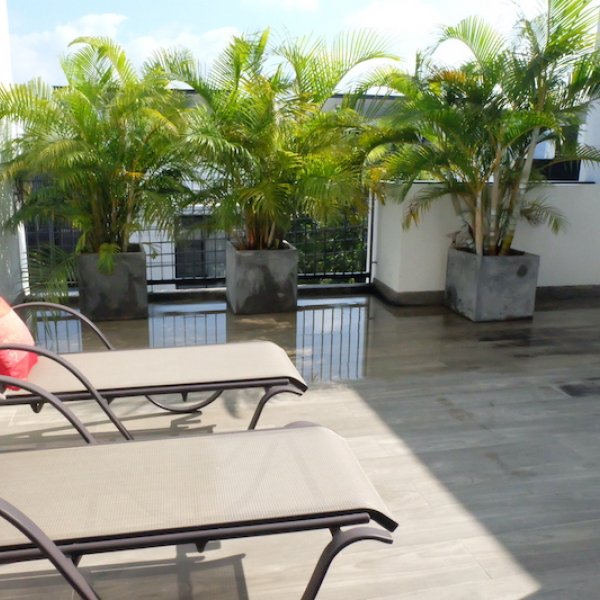 Property image - gallery 49