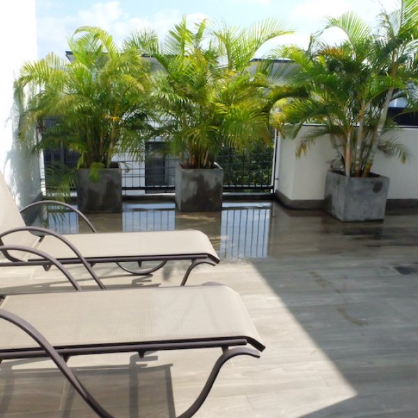 Property image - gallery 51