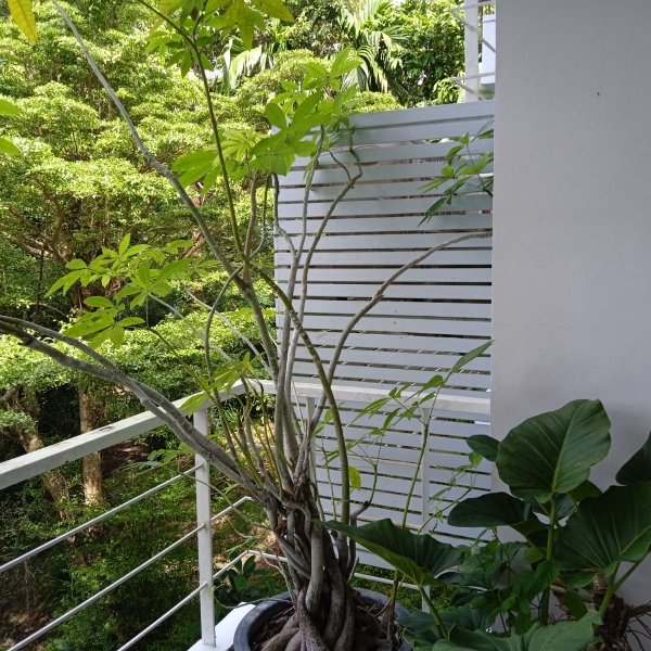 Property image - gallery 12