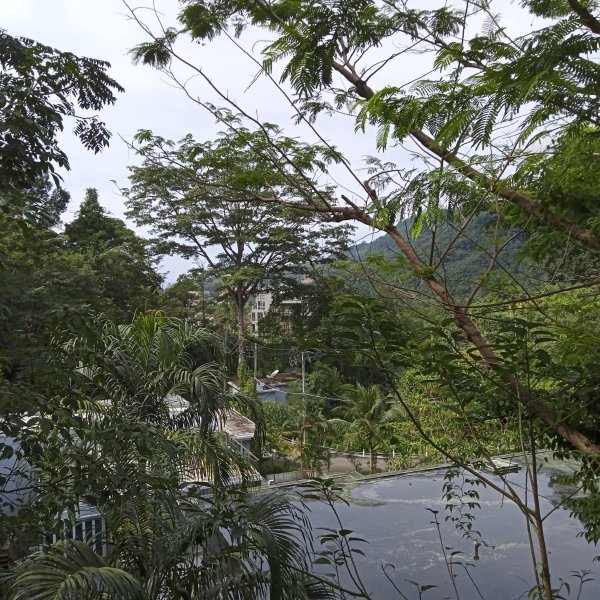 Property image - gallery 16