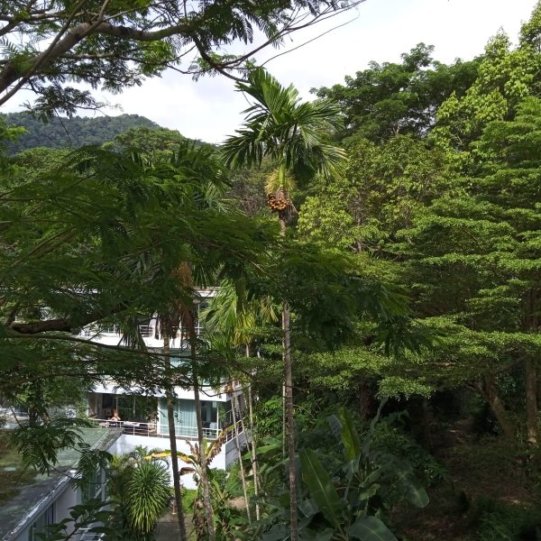 Property image - gallery 14