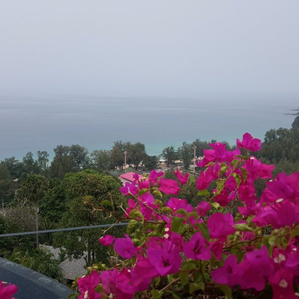 Property image - gallery 44