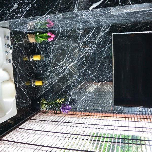 Property image - gallery 62