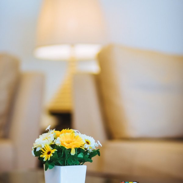 Property image - gallery 16