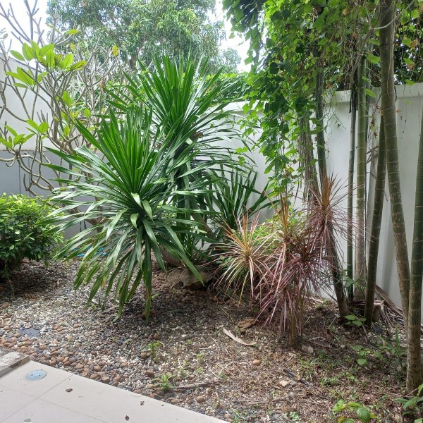 Property image - gallery 15