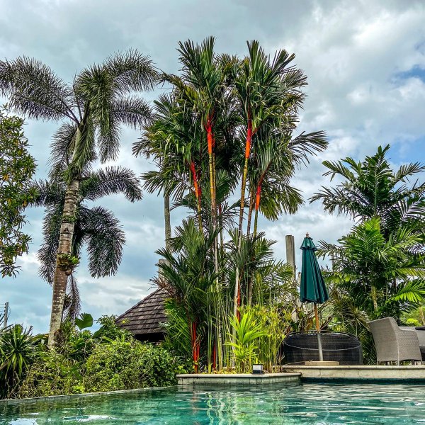 Property image - gallery 7