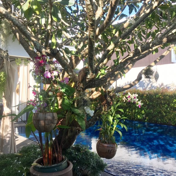 Property image - gallery 40