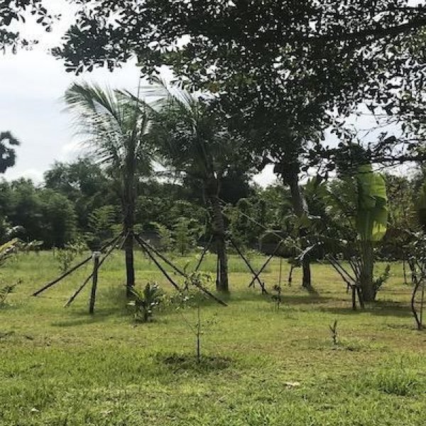 Property image - gallery 19