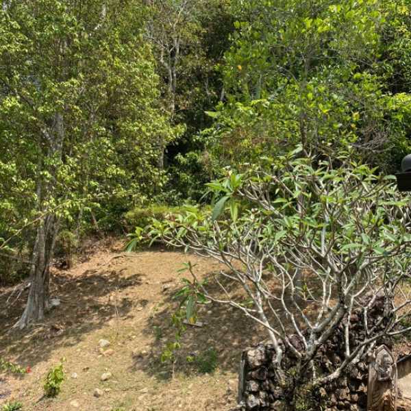 Property image - gallery 6