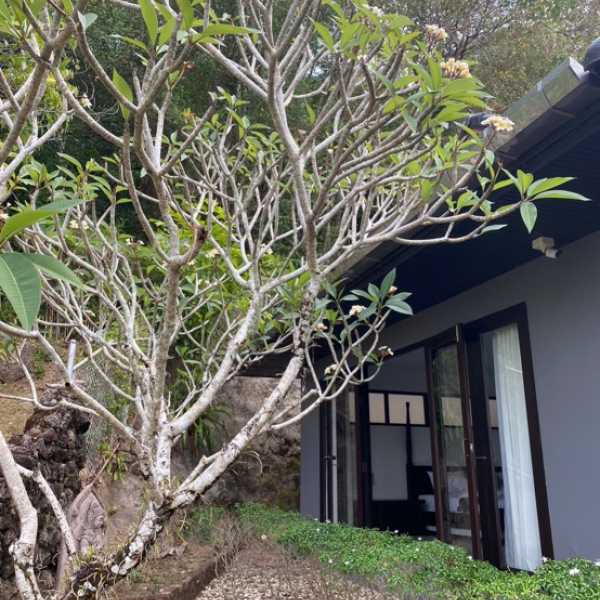 Property image - photo 5