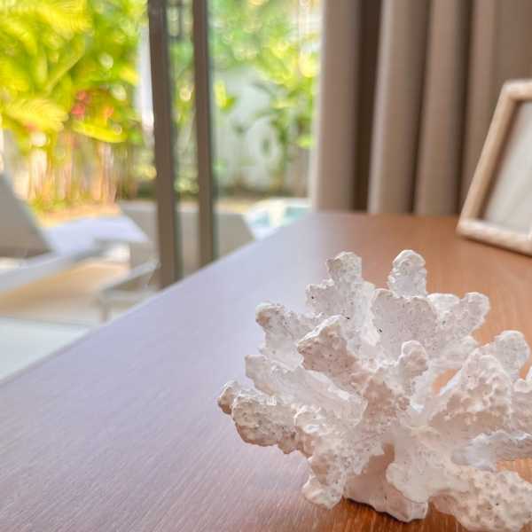 Property image - photo 5