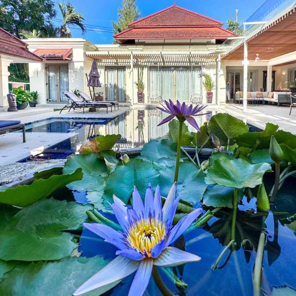 Property image - gallery 19