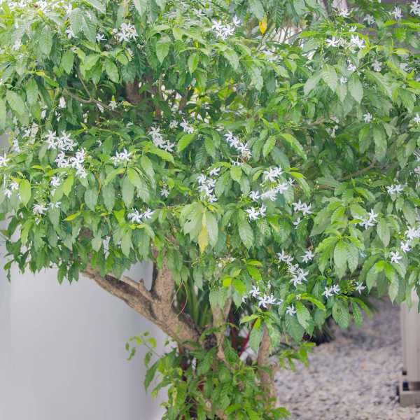 Property image - gallery 55