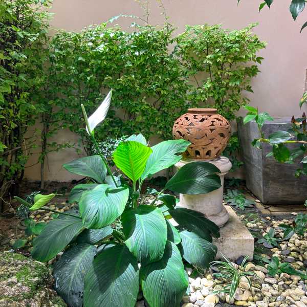 Property image - gallery 32