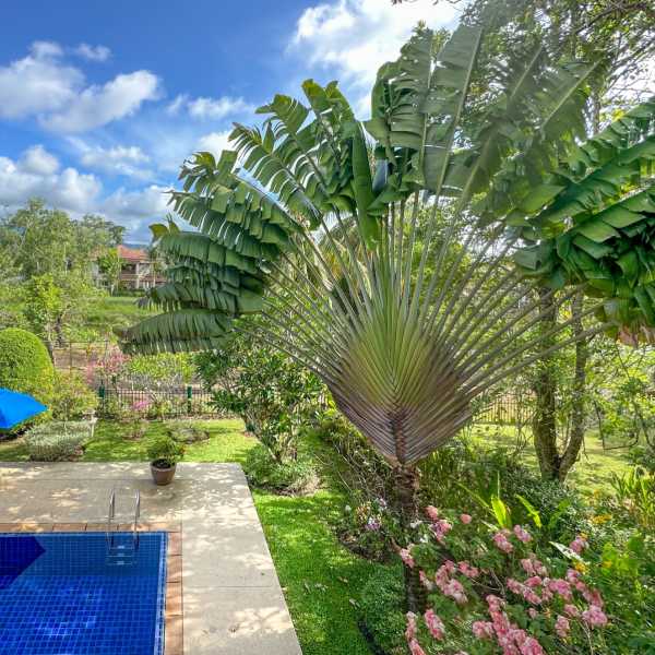 Property image - gallery 14