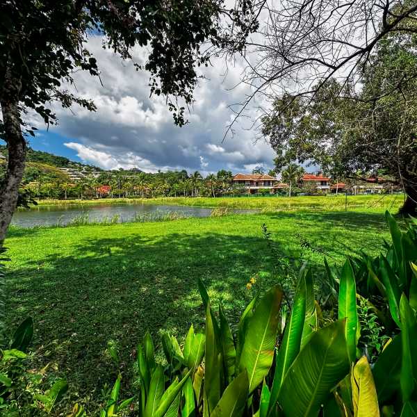 Property image - gallery 31