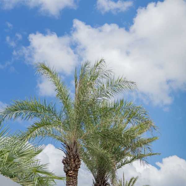 Property image - gallery 18