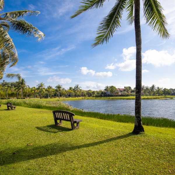 Property image - gallery 14