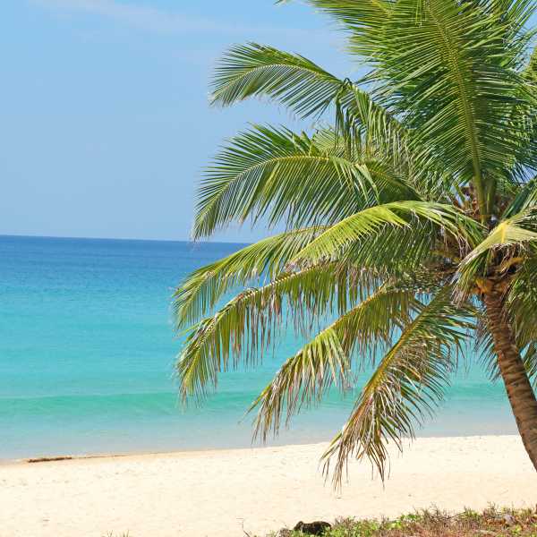 Property image - photo 4