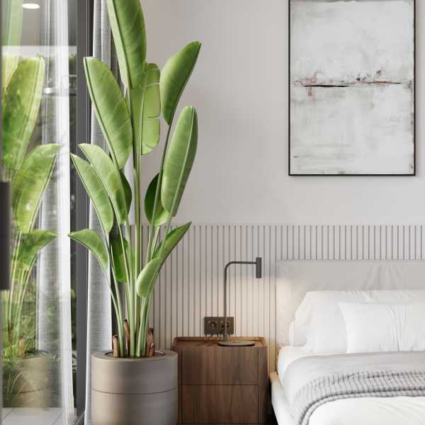 Property image - gallery 21