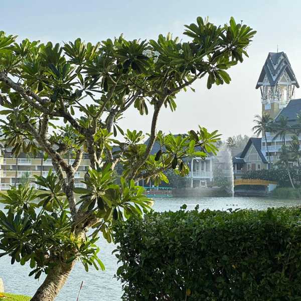 Property image - gallery 20