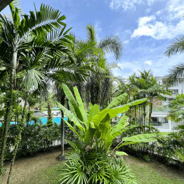 Property image - gallery 25