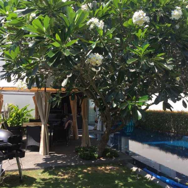 Property image - gallery 29