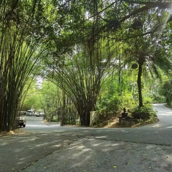 Property image - gallery 23