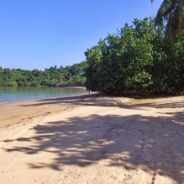 Property image - photo 5