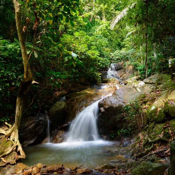 Property image - photo 3