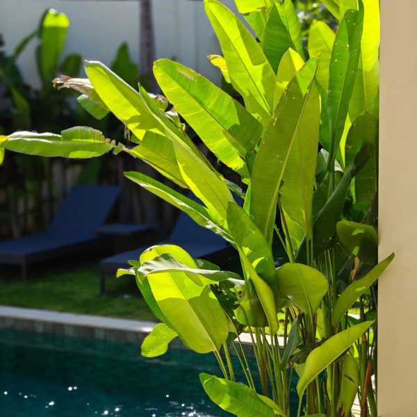 Property image - gallery 24