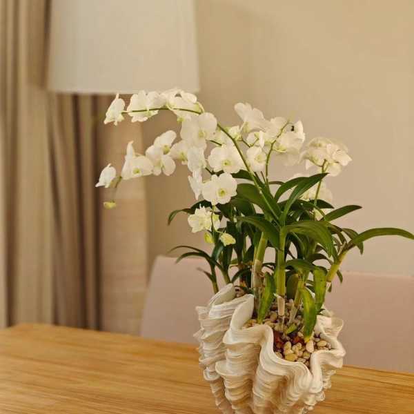 Property image - gallery 20