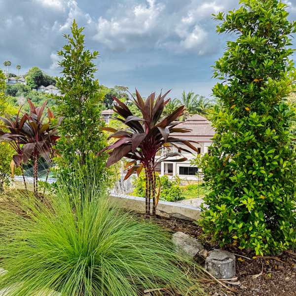 Property image - gallery 65