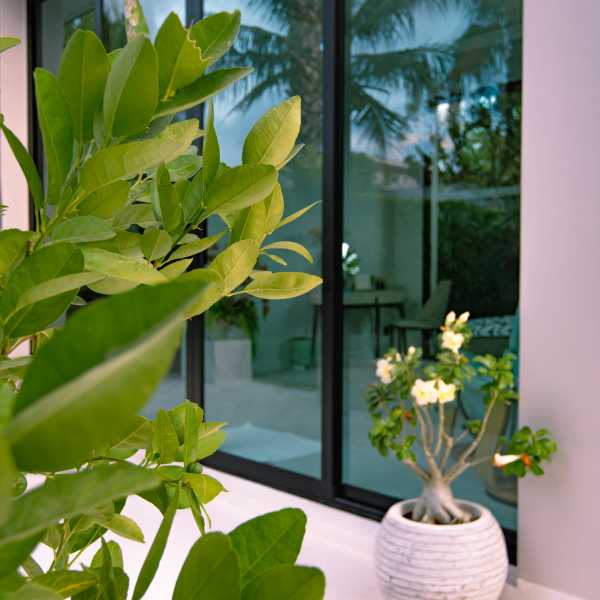 Property image - gallery 23