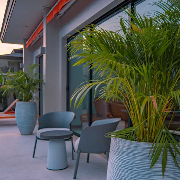 Property image - gallery 54