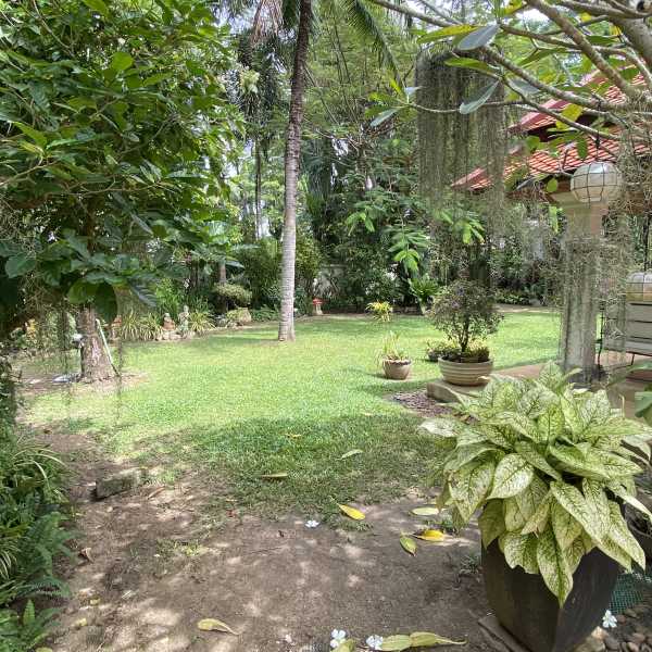 Property image - gallery 26