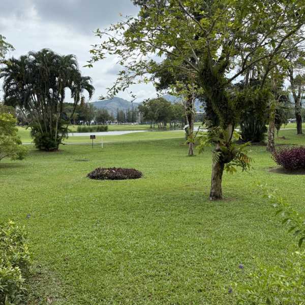 Property image - gallery 12