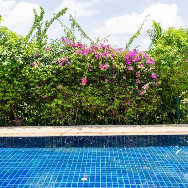 Property image - gallery 26