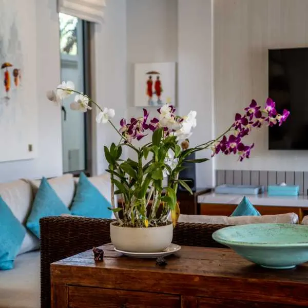 Property image - gallery 34