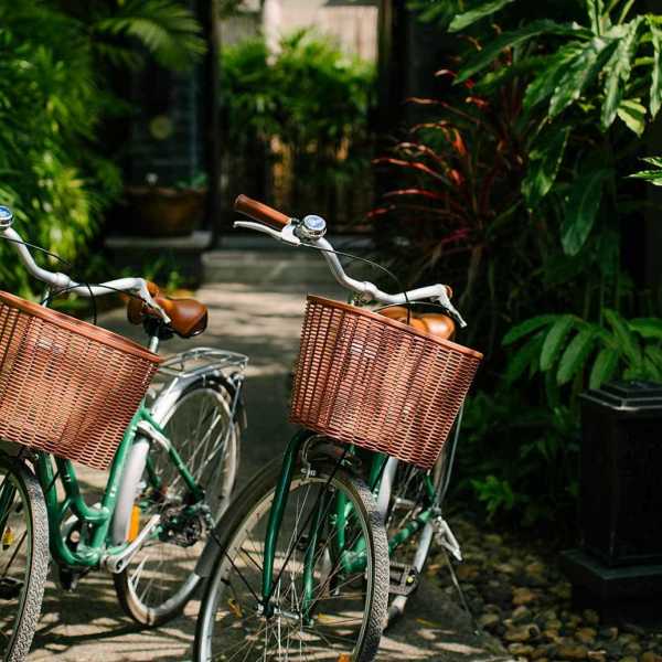 Property image - photo 4