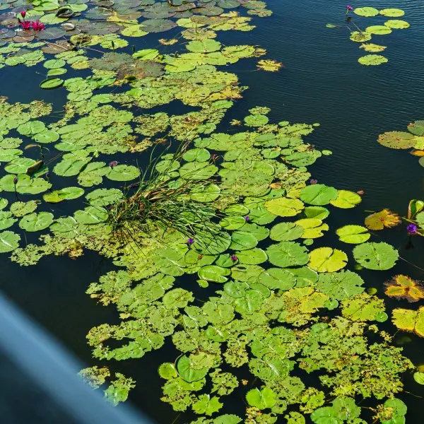 Property image - gallery 21