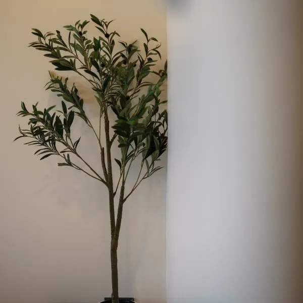 Property image - gallery 17