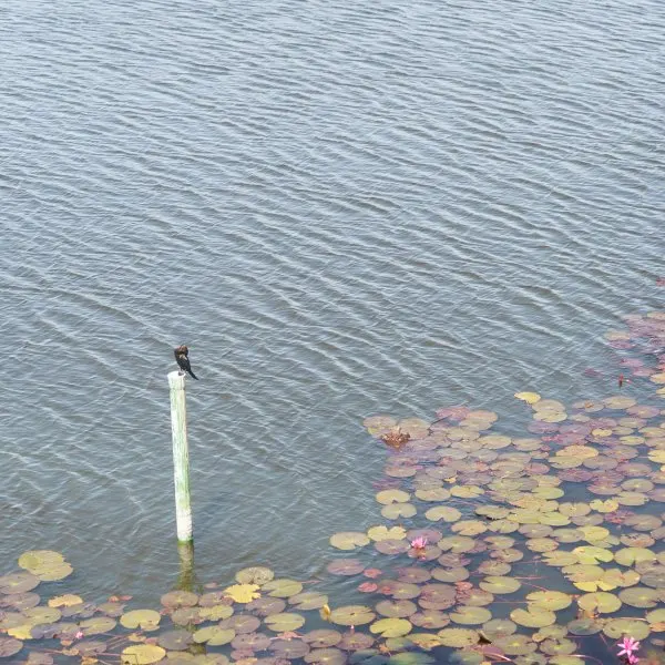 Property image - gallery 40