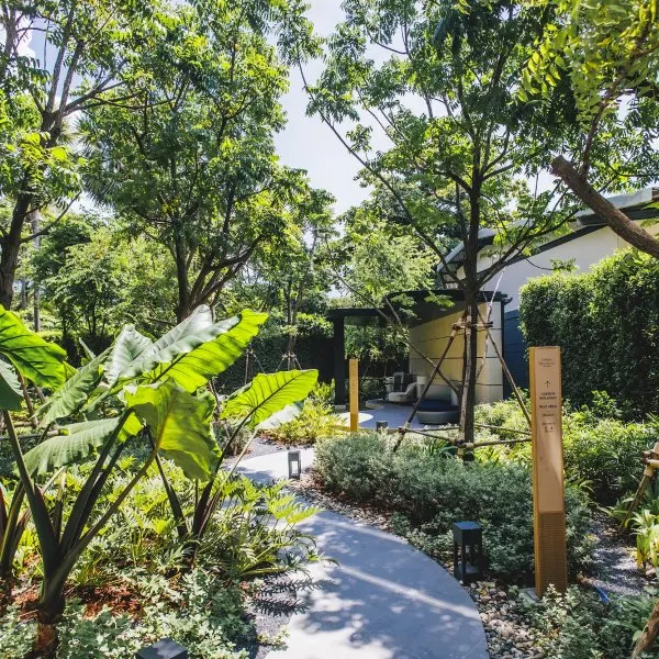 Property image - gallery 43