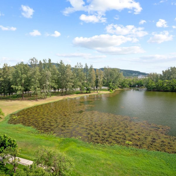 Property image - gallery 25