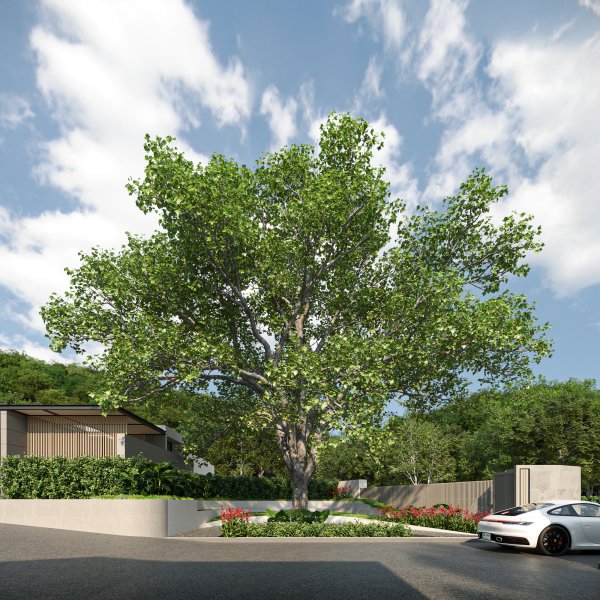 Property image - photo 5