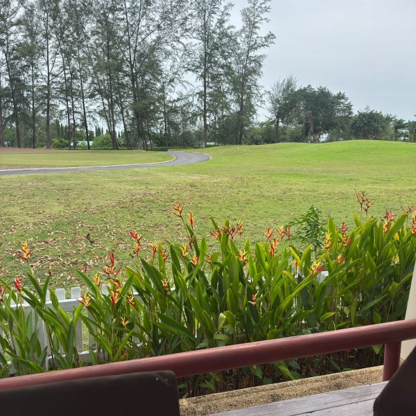 Property image - gallery 19