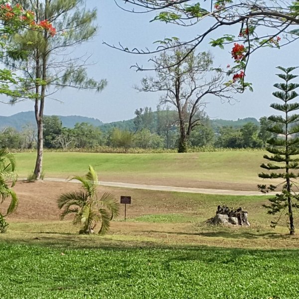 Property image - gallery 15