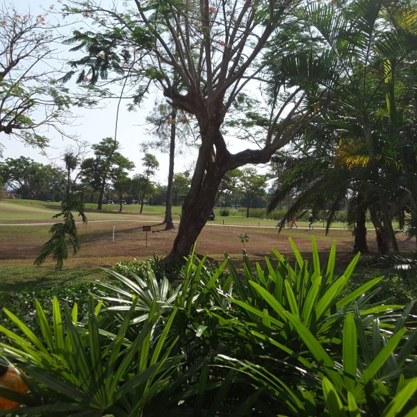 Property image - gallery 16