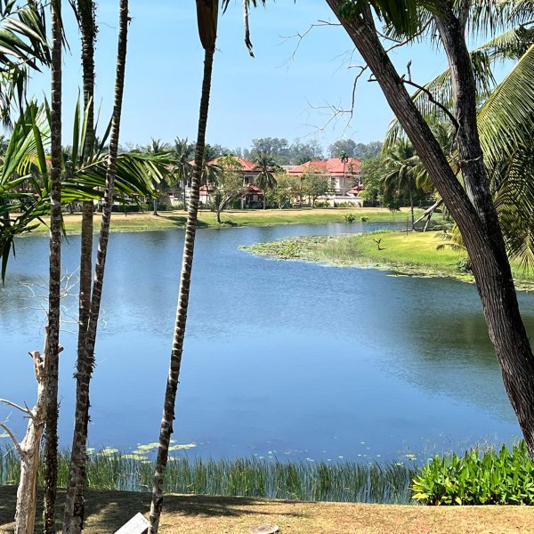 Property image - gallery 16